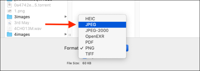 Wählen Sie das Dateiformat aus, in das Sie das Bild exportieren möchten